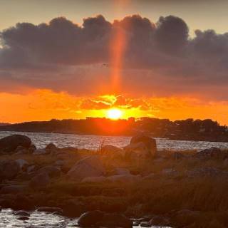 campery asone - IMG-20241118-WA0164