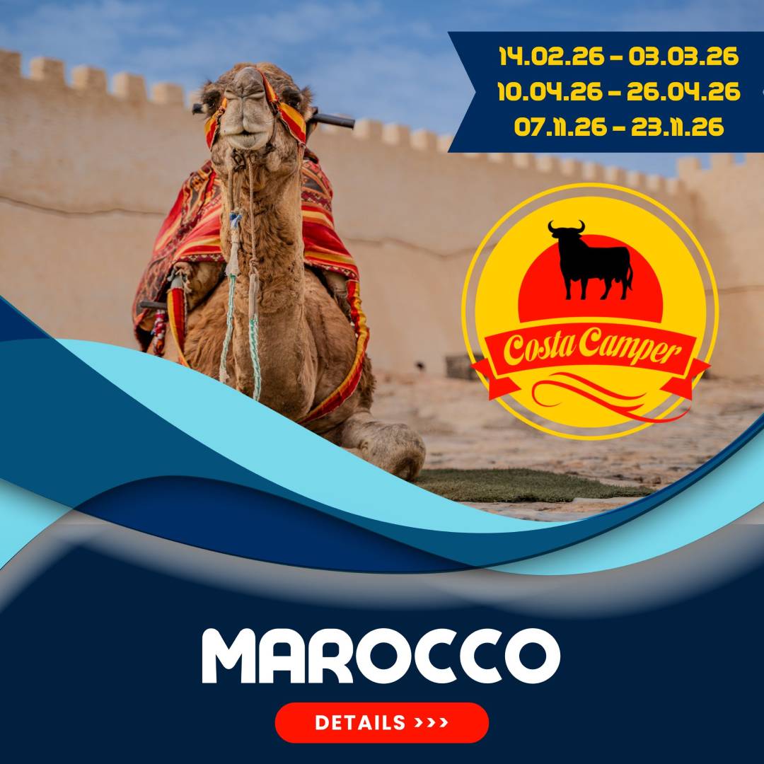 campery asone - 2026_2